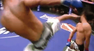 ufc, Mirko Filipović crocap