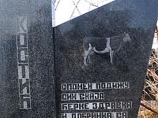 Grobnica u Srbiji: Umjesto slike majke - krava!