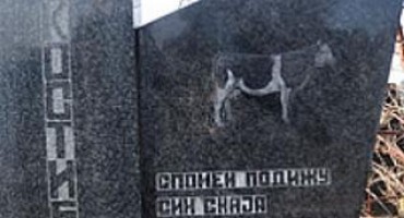 Grobnica u Srbiji: Umjesto slike majke - krava!