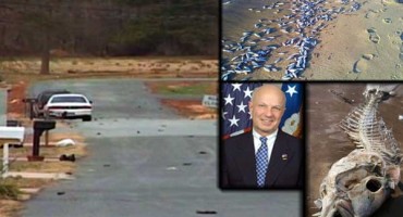 Ptice i ribe ubio irački otrovni plin - visoki američki dužnosnik ubijen da se zataška istina