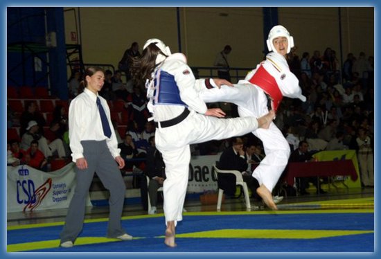 Članovi mostarskog taekwondo kluba "Cro star" osvojili tri medalje u Zagrebu