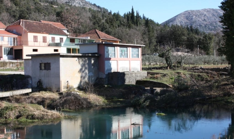 Epidemija prijeti Vrgorcu, Pločama i Hercegovini: Svinje na vodocrpilištu!