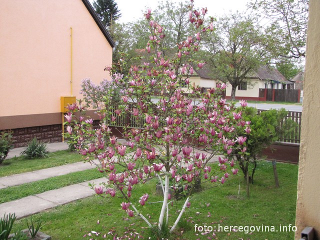 Uskrs u Slavoniji