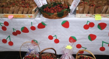 sajam, oš ss kranjčvića