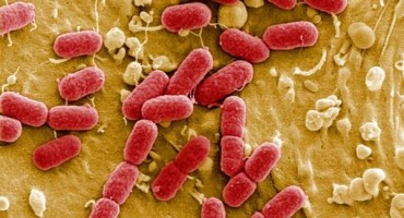 Superbakterija ugrožava pacijente na operacijama