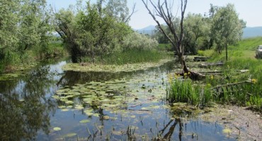 vremenska prognoza, vremenska prognoza, vremenska prognoza, vremenska prognoza, Hutovo blato, vremenska prognoza, vremenska prognoza, vremenska prognoza