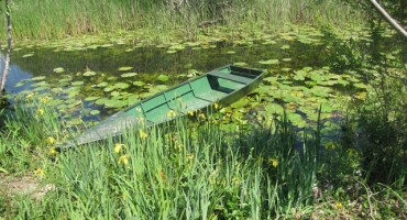 vremenska prognoza, vremenska prognoza, Hutovo blato, prijetnje, vremenska prognoza