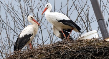 Pogledajte susret Malene i Klepetana i kako je izgledalo pomirenje
