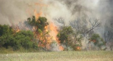 vatrogasci, Čapljina, požar, Posušje, požar, Čitluk, smilje