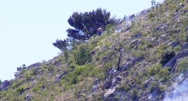 žena, nestanak, Mostar, Hum