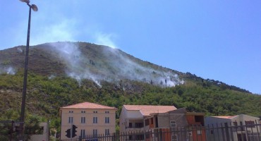 Udruga Moj grad organizira pošumljavanje Huma