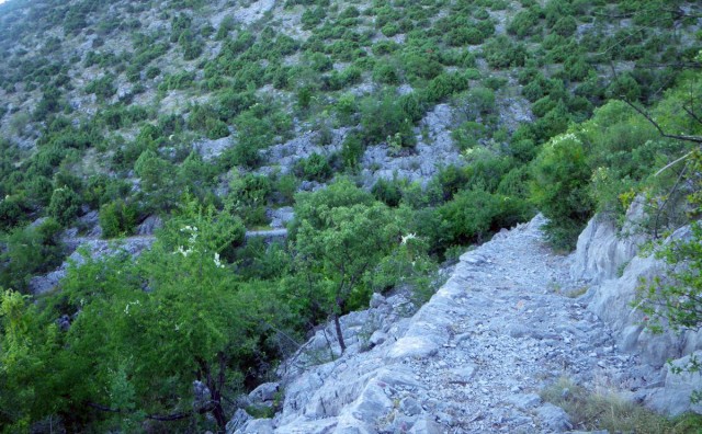 Hutovo, HGSS Mostar, potraga, HGSS, hgss čitluk, Međugorje, gss