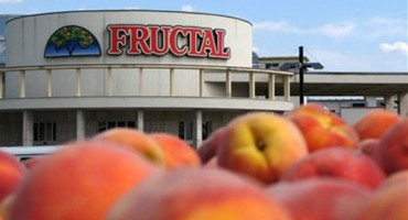 nectar, Fructal, poslovni portal ba