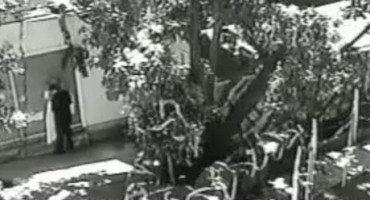 vjenčanje, kumovi, prevara