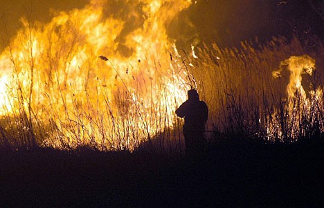 Uhvatili piromanku s Korčule: U tri dana podmetnula nekoliko požara 