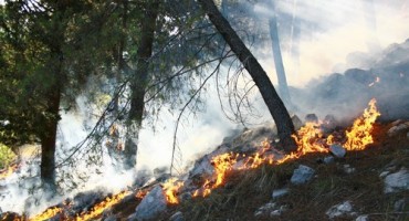 požar, Čapljina, Čapljina, požar, vatrogasci, požar, požar, Hutovo blato, Posušje, požar