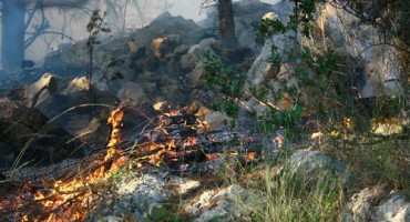 Ugašen požar u Parku prirode Hutovo blato