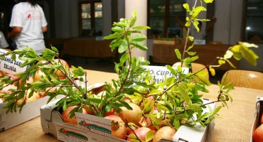 U Stocu svečano otvorena sajamska manifestacija "Hercegovački plodovi Mediterana'