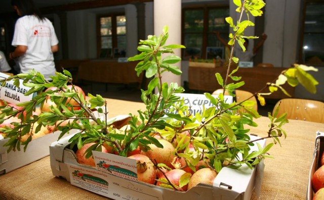 U Stocu svečano otvorena sajamska manifestacija "Hercegovački plodovi Mediterana'