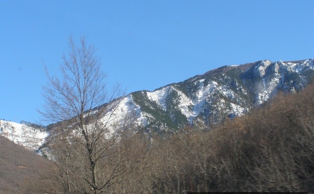 rujiste