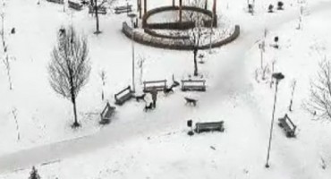 Sarajevo: Snimka napada čopora pasa na prolaznicu