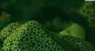 Big Brother, silovanje, Brazil, konobarica, silovanje, Srbija, silovanje, žena