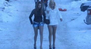 'Gosti koji su višak': Dalmatinci na bh. planine donose sarmu, čaj, pišaju iza borova