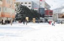 Mostar: Sunce izmamilo na snijeg tisuće Mostaraca