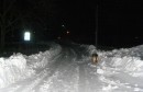 noćna-šetnja-u-snjeznom-naselju-vojno