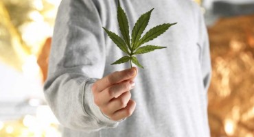 Rezultati istraživanja u Hrvatskoj: Pušimo više trave od - Nizozemaca