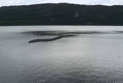 Na tragu velikog otkrića: Napokon "uhićena" Nessie - čudovište iz Loch Nessa!