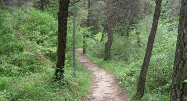 jutarnja-setnja-trimusom-i-barama