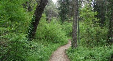 jutarnja-setnja-trimusom-i-barama