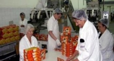 Prodaju se dionice ''Zvečevo Lasta'' d. d. Čapljina 