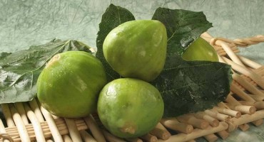 Kad pročitate ovaj tekst, možda više nikad nećete pojesti smokvu?! 