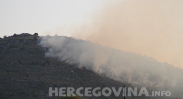 Šume u Hercegovini palili da ih pretvore u građevinsko zemljište 