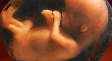 Strava u Rusiji: U šumi pronašli 248 fetusa u bačvama označenima prezimenima i brojevima!