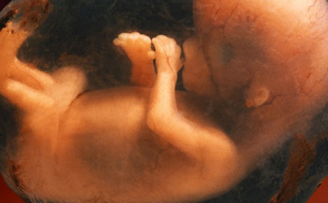 U srcu Hercegovine: Prvi pokop fetusa