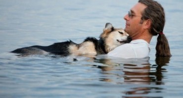 Turističke usluge za kućne ljubimce