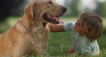 Napravite prirodni sprej protiv buha i krpelja za svojeg psa