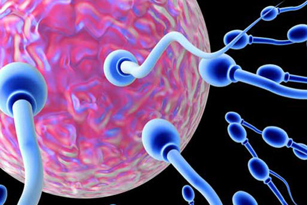 sperma