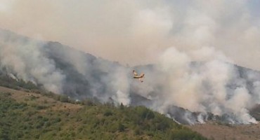 požar, Doljani, Sovići