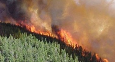 Gori Kedžara kod parka prirode Blidinje: Požar najvjerojatnije podmetnut?