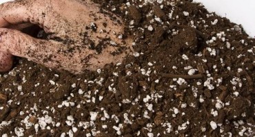 Panika kod Knina zbog zagonetne ruke?