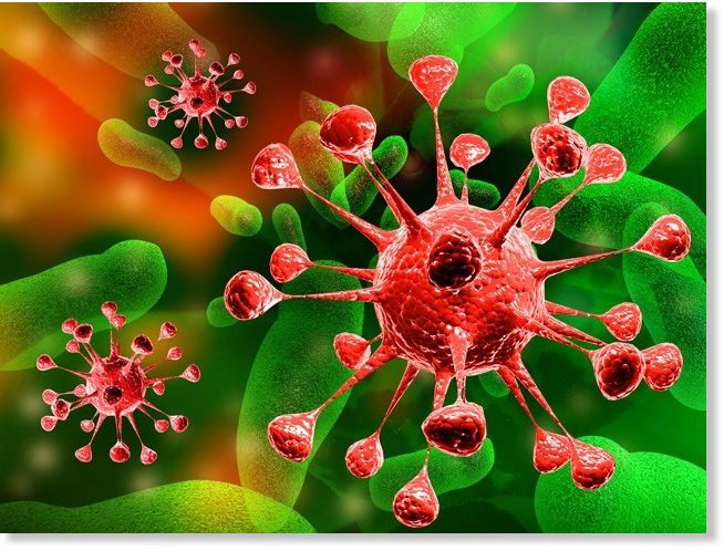 virus