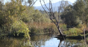 Hutovo blato, Mogorjelo, vremenska prognoza, vremenska prognoza, vremenska prognoza, vremenska prognoza, vremenska prognoza, vremenska prognoza, vremenska prognoza, vremenska prognoza, vremenska prognoza, vremenska prognoza, vremenska prognoza, BIH, vremenska prognoza, vremenska prognoza, foto priča, Hutovo blato