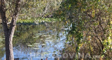 Hutovo blato, Mogorjelo, priroda, šetnja, zdravlje