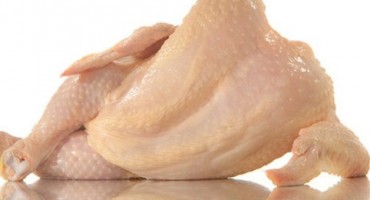 meso, salmonela