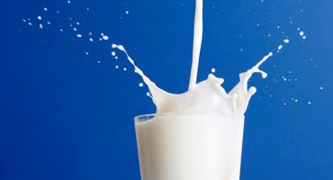 'U Hrvatsku se plasira višak mlijeka iz EU i prodaje jeftinije od cijene proizvodnje'