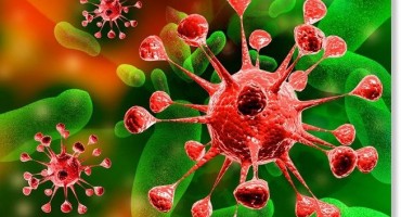 Pronađen lijek protiv raka? 